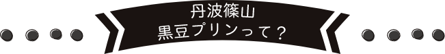 丹波篠山黒豆プリンって?