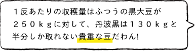 1反あたりの収穫量はふつうの黒大豆が250kgに対して、丹波黒は130kgと半分しか取れない貴重な豆だわん!