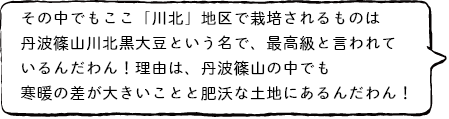その中でもここ「川北」地区で栽培されるものは丹波篠山川北黒大豆という名で、最高級と言われているんだわん!理由は、丹波篠山の中でも寒暖の差が大きいことと肥沃な土地にあるんだわん!