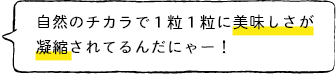 自然のチカラで1粒1粒に美味しさが 凝縮されてるんだにゃー!