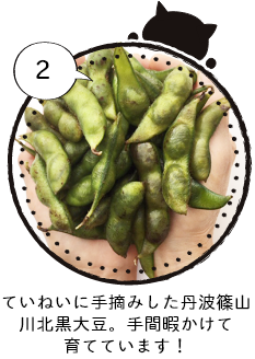 ていねいに手摘みした丹波篠山 川北黒大豆。手間暇かけて育てています!