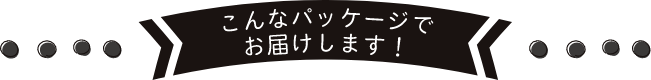 こんなパッケージでお届けします!