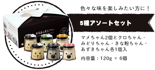 【色々な味を楽しみたい方に!】5種アソートセット